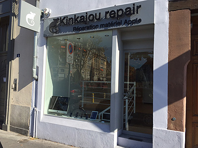 Kinkajou Repair Image