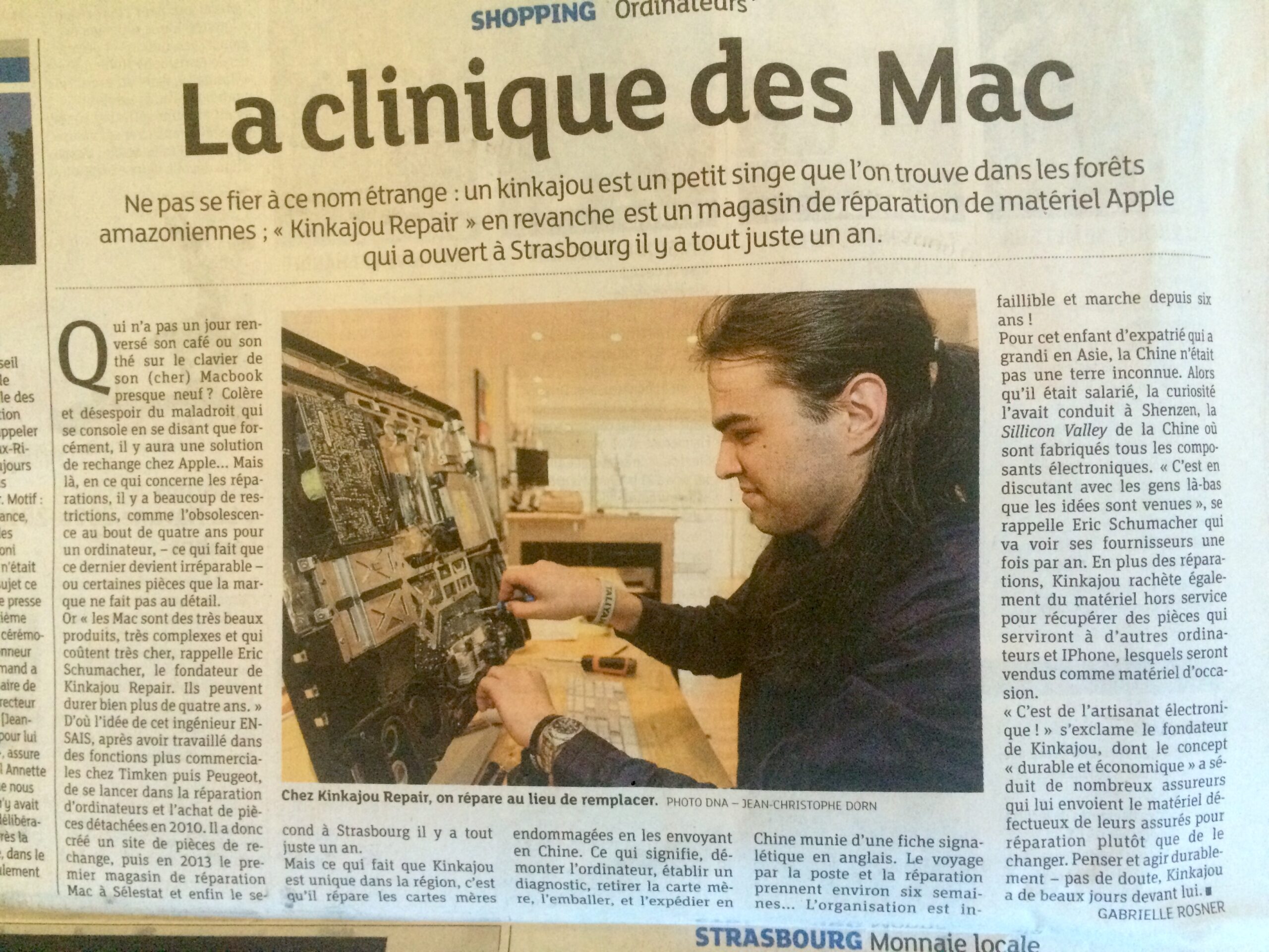 article DNA STRASBOURG